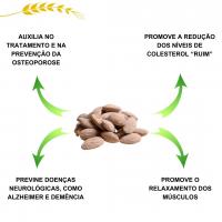 Amêndoa Torrada Com Sal