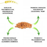 Amêndoa Crua